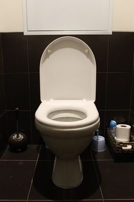 WC-Sitz mit Absenkautomatik Test